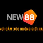 Profile picture of new88farm