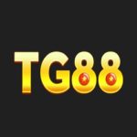 Profile picture of tg88vnonline